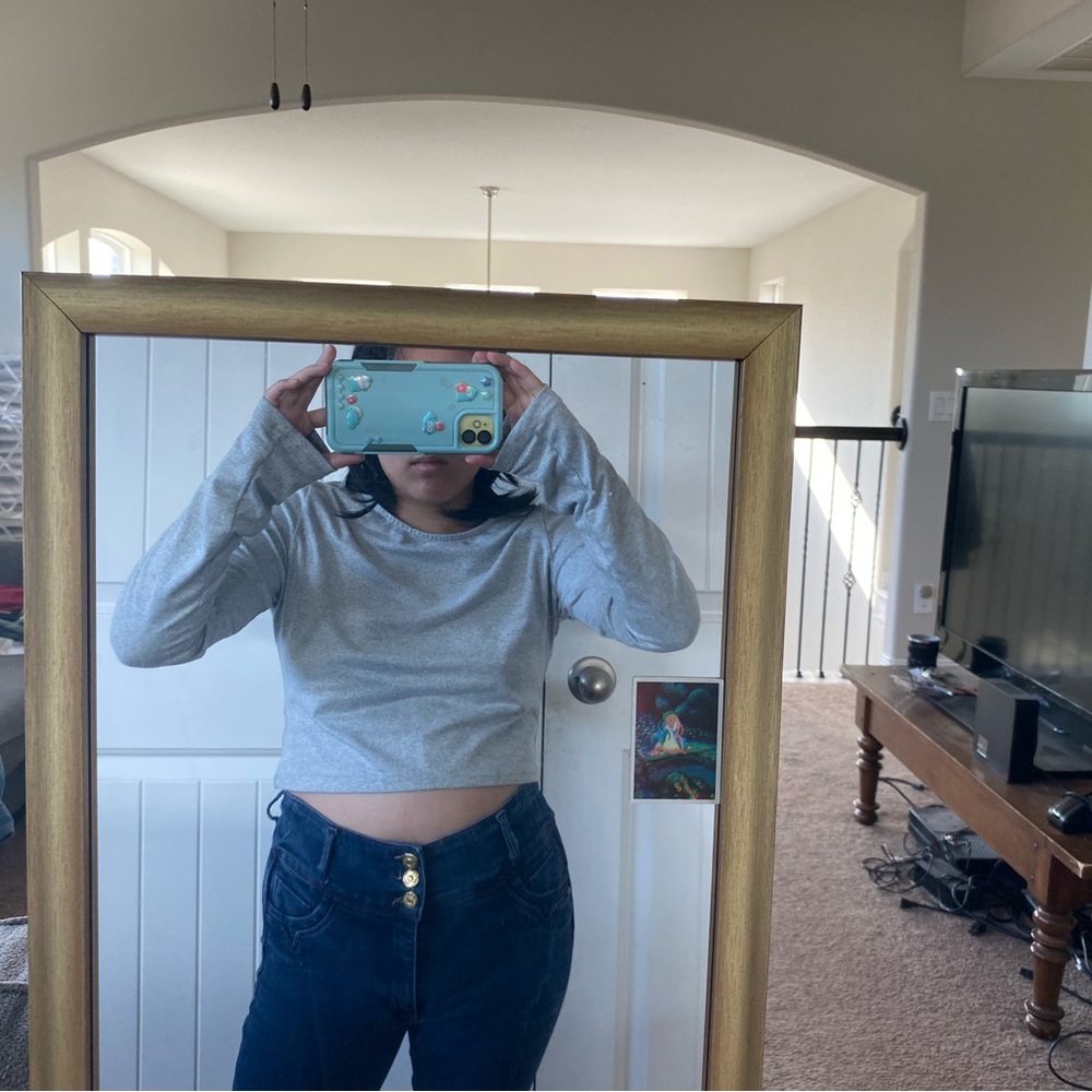 Gray Long Sleeve Crop Top